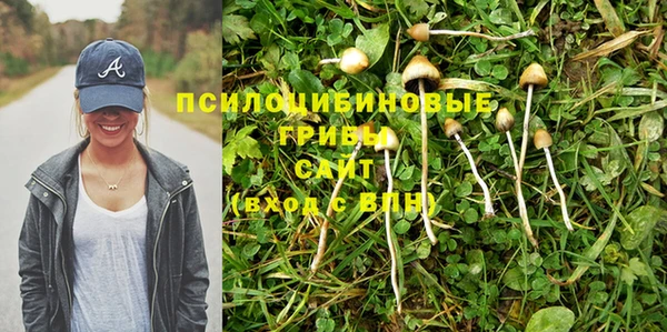 ПСИЛОЦИБИНОВЫЕ ГРИБЫ Балахна